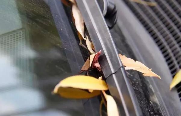 雨刮器有刮不干净的感觉,3分钟解决雨刮器嘎嘎响刮不干净