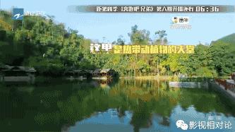 奔跑吧兄弟谭维维rain哪期,谭维维张杰奔跑吧兄弟