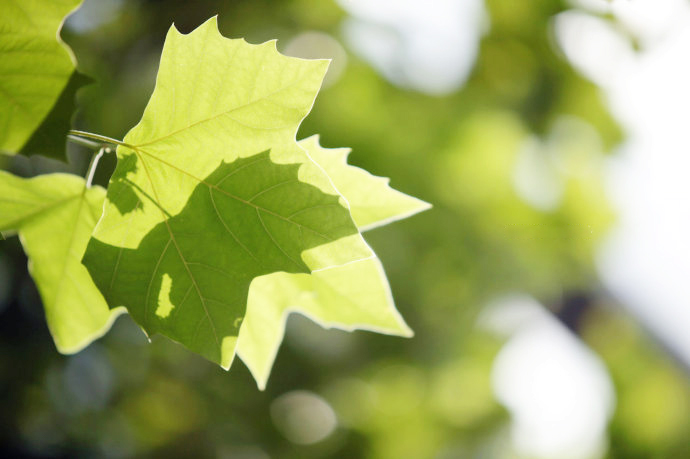 糖尿病患者夏天关注什么防脱水,糖尿病患者夏季控制血糖关注事项