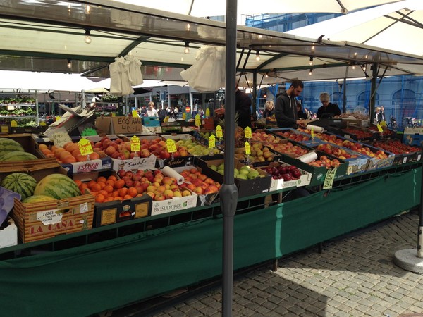 施华洛世奇白天鹅10年,马尔默全集完整版