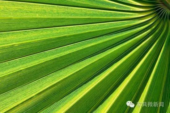 家具涂料的秘密：竟有这么多学问！