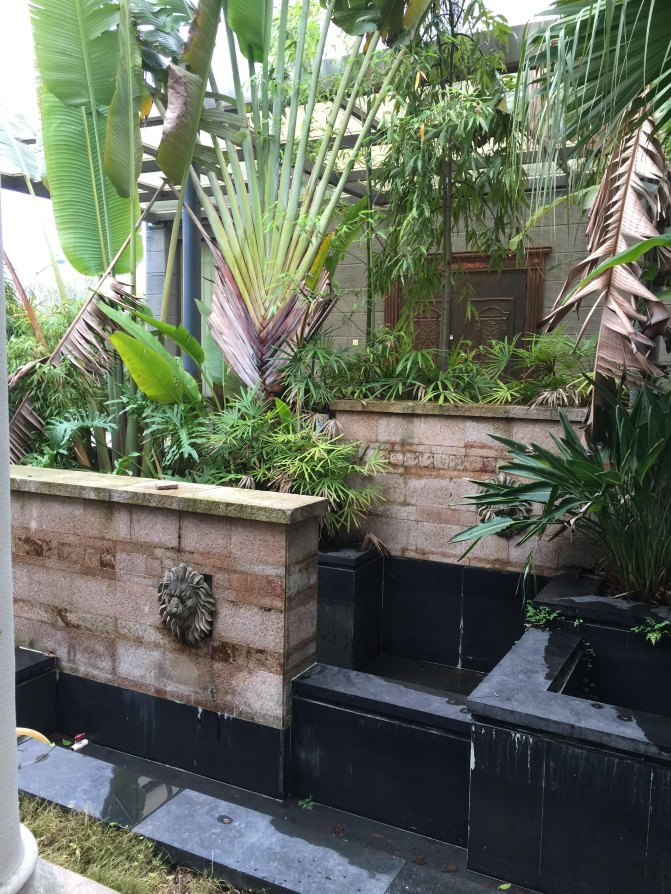 鼓浪屿自驾游全攻略,厦门鼓浪屿登岛全攻略