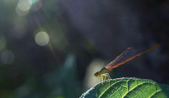 跟我练-动作再生：眼部太阳浴