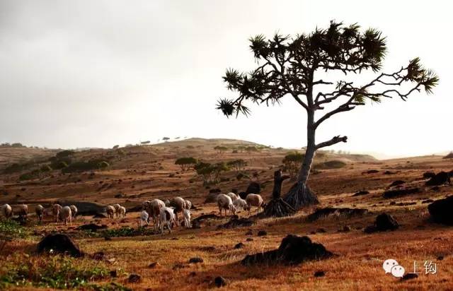 在荒蛮的世界尽头追猎“怪物”