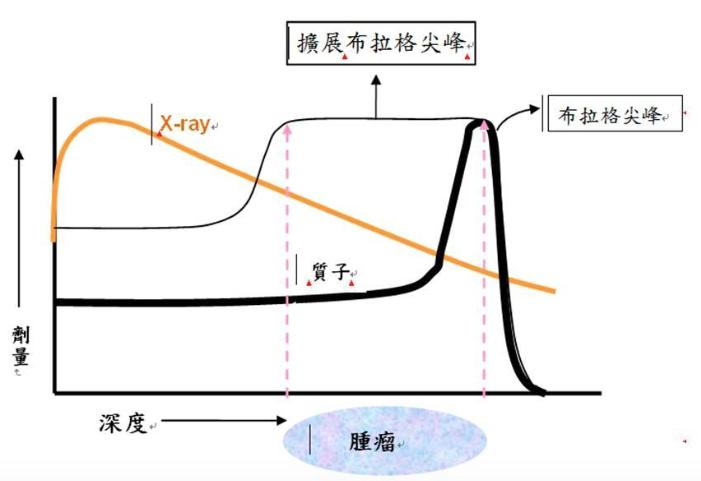 质子重离子解密,质子重离子治疗怎样识别肿瘤