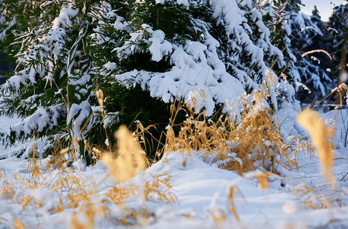融入大自然拍照,融入大自然美景美拍
