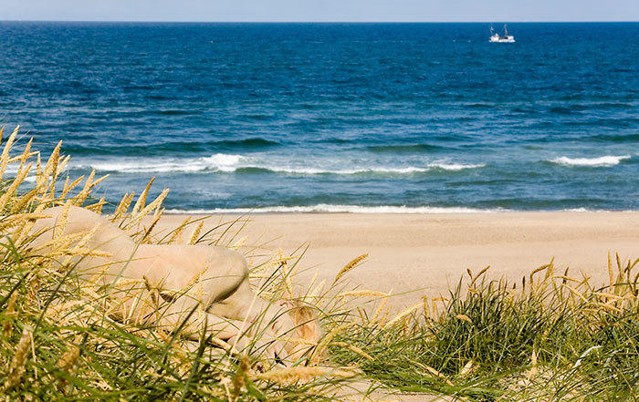 融入大自然拍照,融入大自然美景美拍