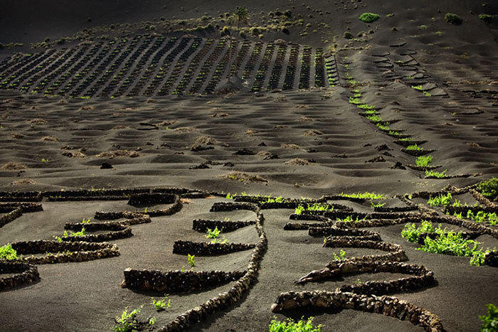 融入大自然拍照,融入大自然美景美拍