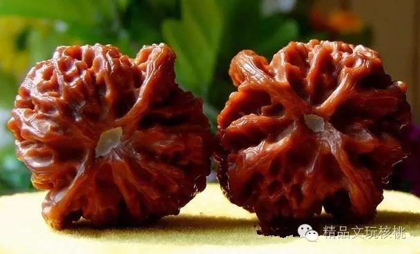 文玩核桃尾脐图案,文玩核桃尾脐特别硬