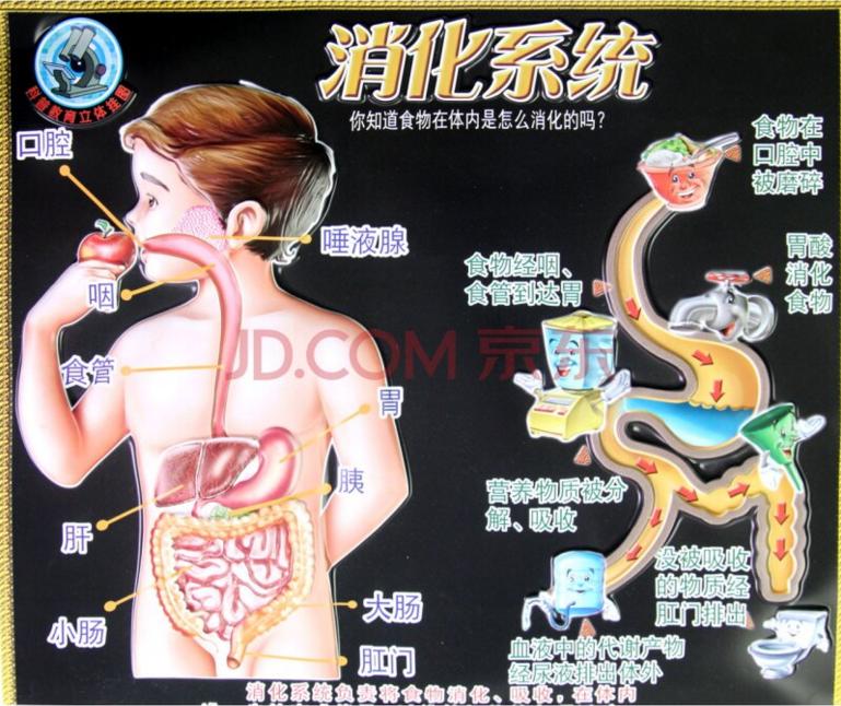 不要轻视糖友的决心：两年坚持天天吃苦瓜，然而。。。