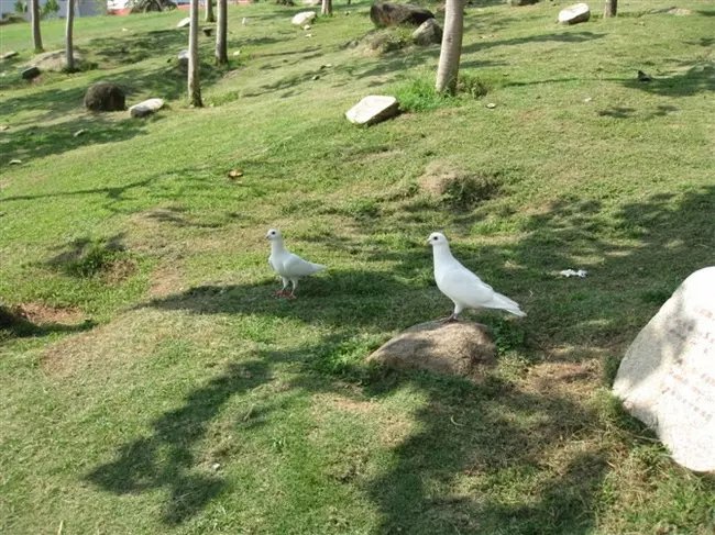 三亚远山大海蓝天白云,爱在三亚拉丁舞