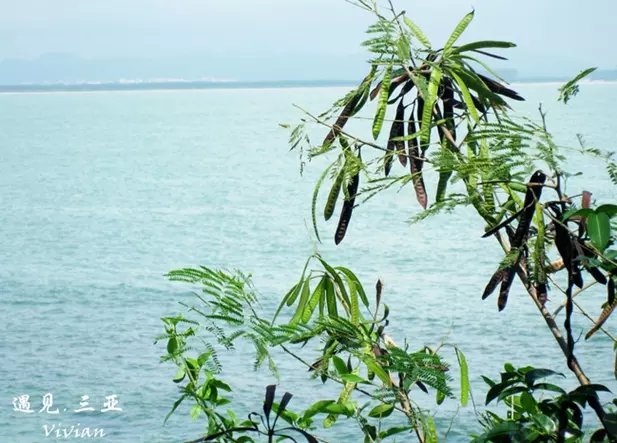 三亚远山大海蓝天白云,爱在三亚拉丁舞