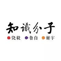 舞蹈进化史完整,舞蹈的进化