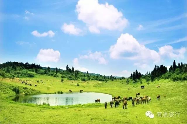 重庆生物地理答案,重庆水土生物研究