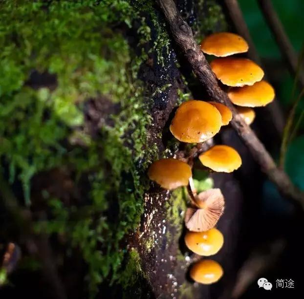 重庆生物地理答案,重庆水土生物研究