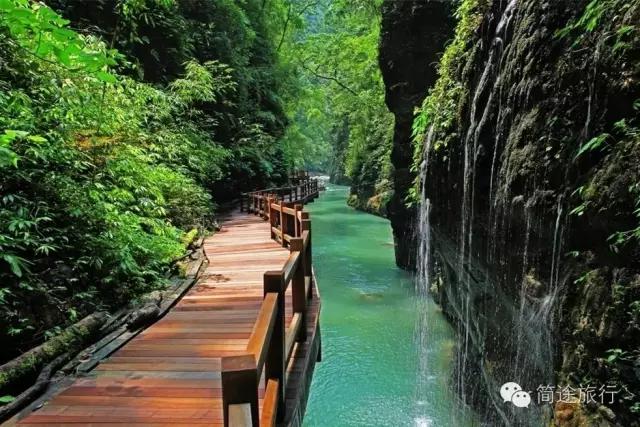 重庆生物地理答案,重庆水土生物研究