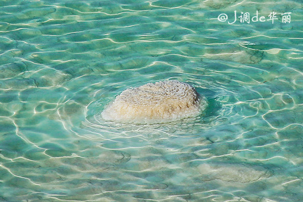 以色列死海的传奇,以色列死海底下的神秘世界