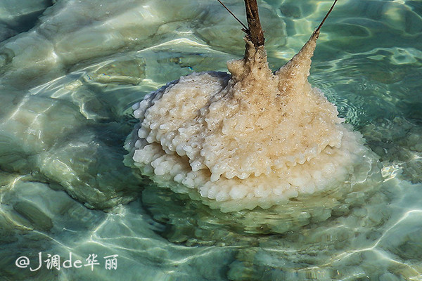 以色列死海的传奇,以色列死海底下的神秘世界