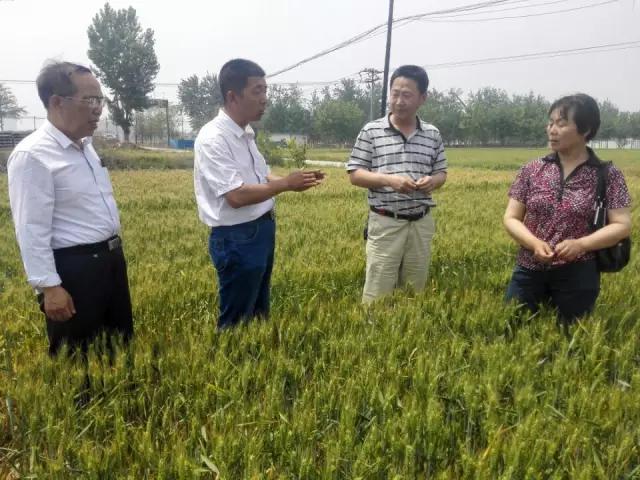 520大爱，西贝隆基带你找回小时候的味道，唇齿间甘甜如饴