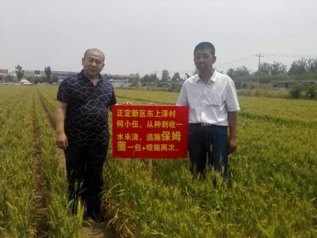 520大爱，西贝隆基带你找回小时候的味道，唇齿间甘甜如饴