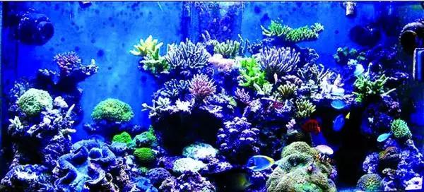 如果哪天你在长沙生活不下去了，一定要看这条微信！