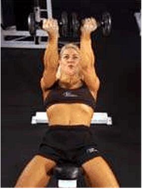 徒手健身哑铃视频,哑铃动作图解教你健身