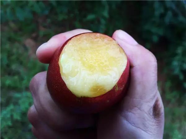 水浇多了补救视频,水浇多了变稀泥怎么办