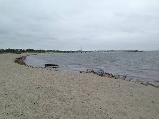 施华洛世奇白天鹅10年,马尔默全集完整版