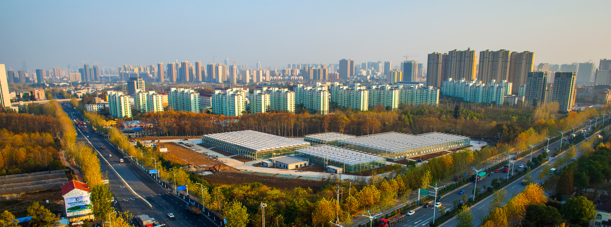 踏青赏花好去处合肥,合肥市内春游赏花公园