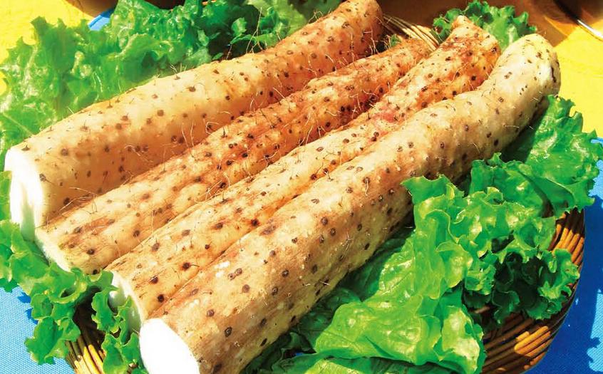 怀孕能吃肉炖莲藕吗,孕妇可以吃茄子莲藕吗