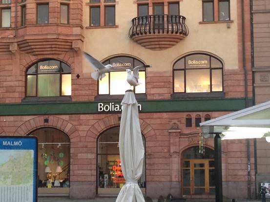 施华洛世奇白天鹅10年,马尔默全集完整版