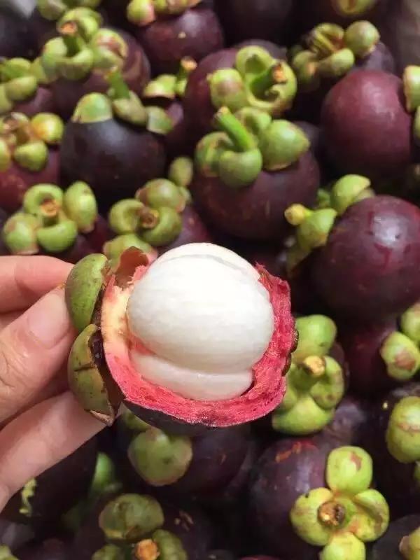 合肥惊现光速水果外卖，最晚到清晨12点，这么任性的只有它了！