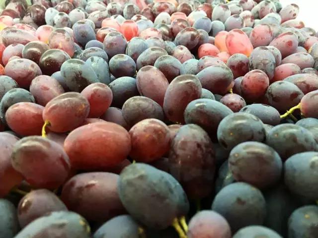 合肥惊现光速水果外卖，最晚到清晨12点，这么任性的只有它了！