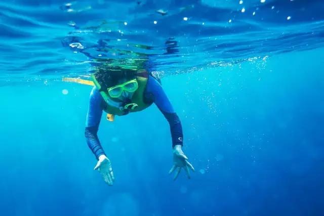 浮潜，是通向另一片世界的钥匙