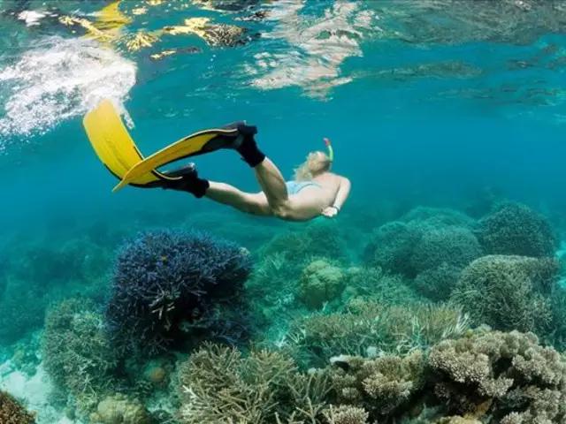 浮潜，是通向另一片世界的钥匙