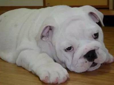 六一来领小礼物,六一收到孩子送的礼物