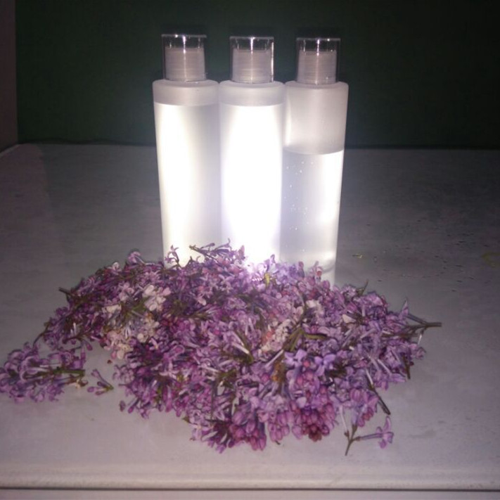 丁香花纯露作用与功效,丁香花纯露怎么做