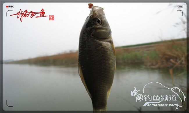 风雨无阻之我爱飞鱼去‘*欢寻**’！