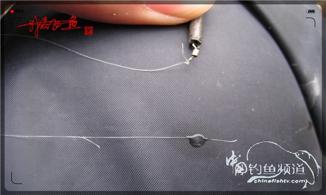 风雨无阻之我爱飞鱼去‘*欢寻**’！