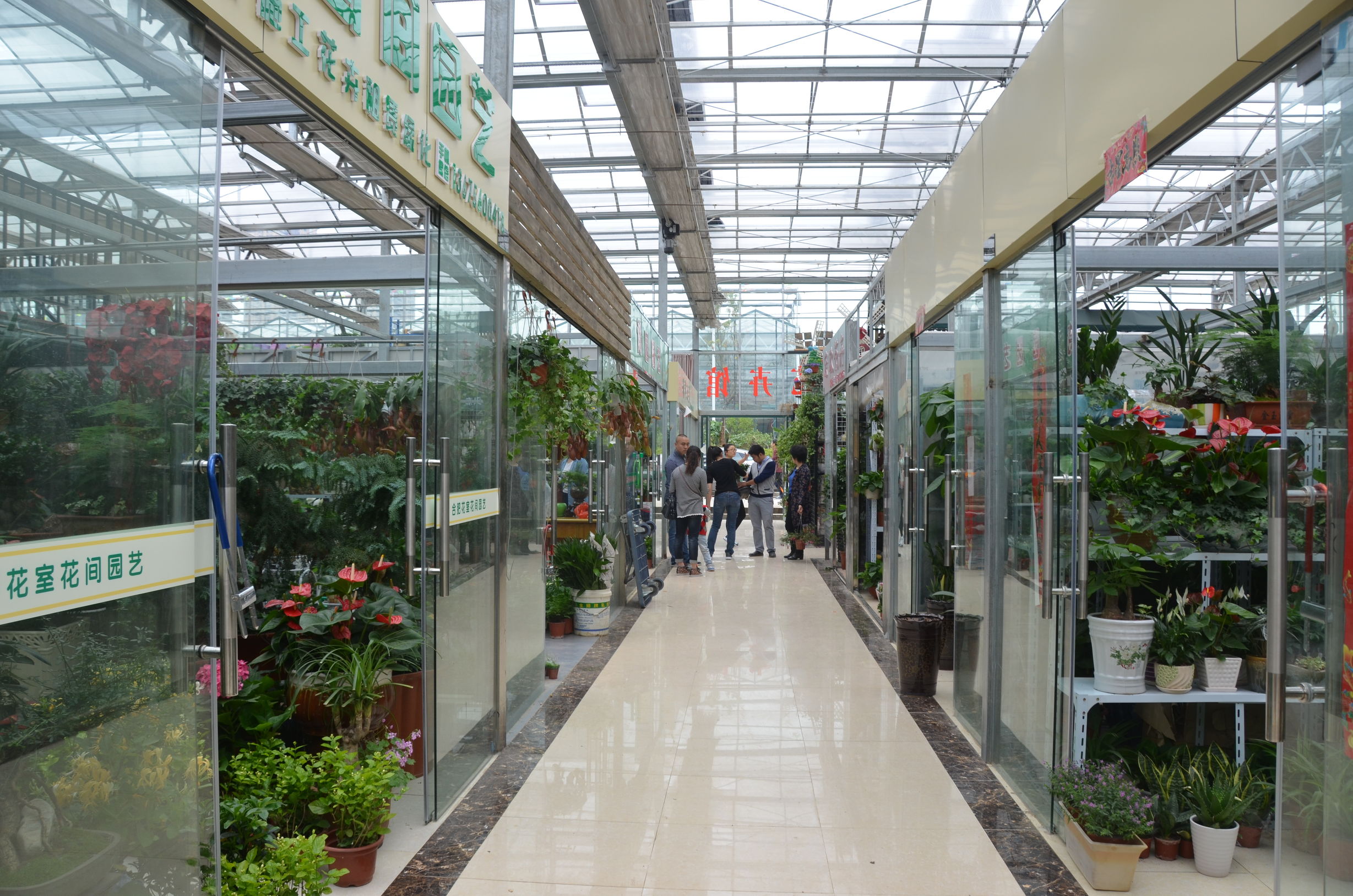 踏青赏花好去处合肥,合肥市内春游赏花公园