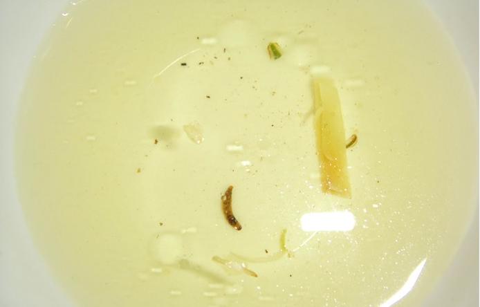 茶叶里“长虫”，你还能喝得下去吗？