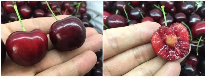 合肥惊现光速水果外卖，最晚到清晨12点，这么任性的只有它了！