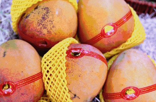 合肥惊现光速水果外卖，最晚到清晨12点，这么任性的只有它了！