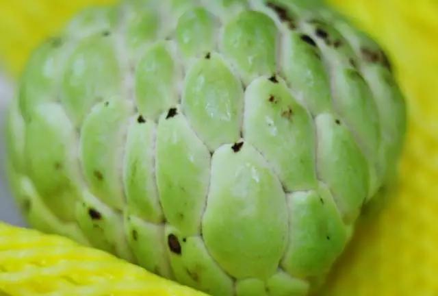 合肥惊现光速水果外卖，最晚到清晨12点，这么任性的只有它了！