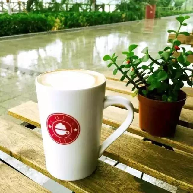 聊城美食推荐网红餐厅,聊城轻奢美食