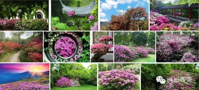 梅州客天下旅游产业园的特点,梅州梅县客天下5a级旅游区