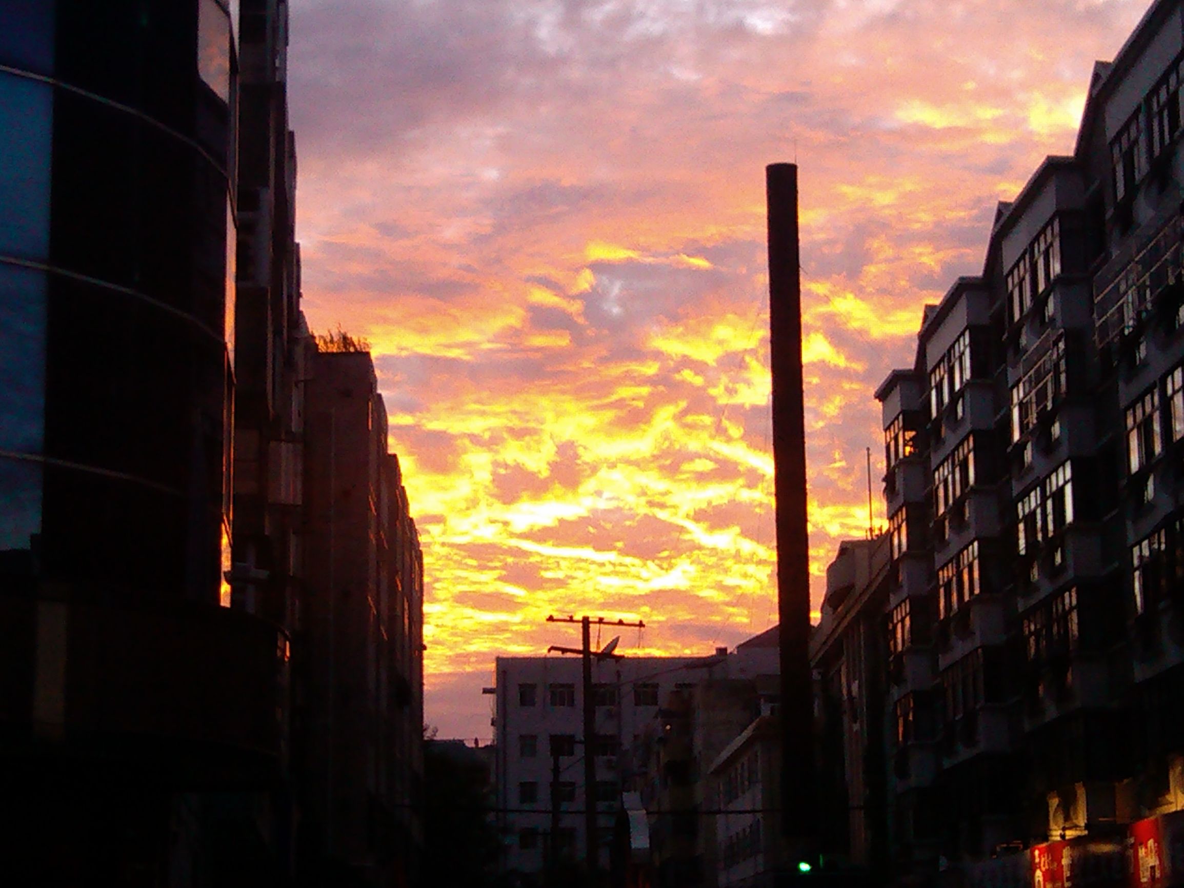 狂撒狗粮虐单身狗,银川精品一日游