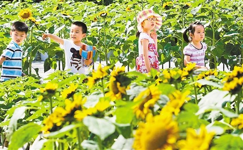 儿童节带小朋友去哪里重庆,儿童节攻略重庆