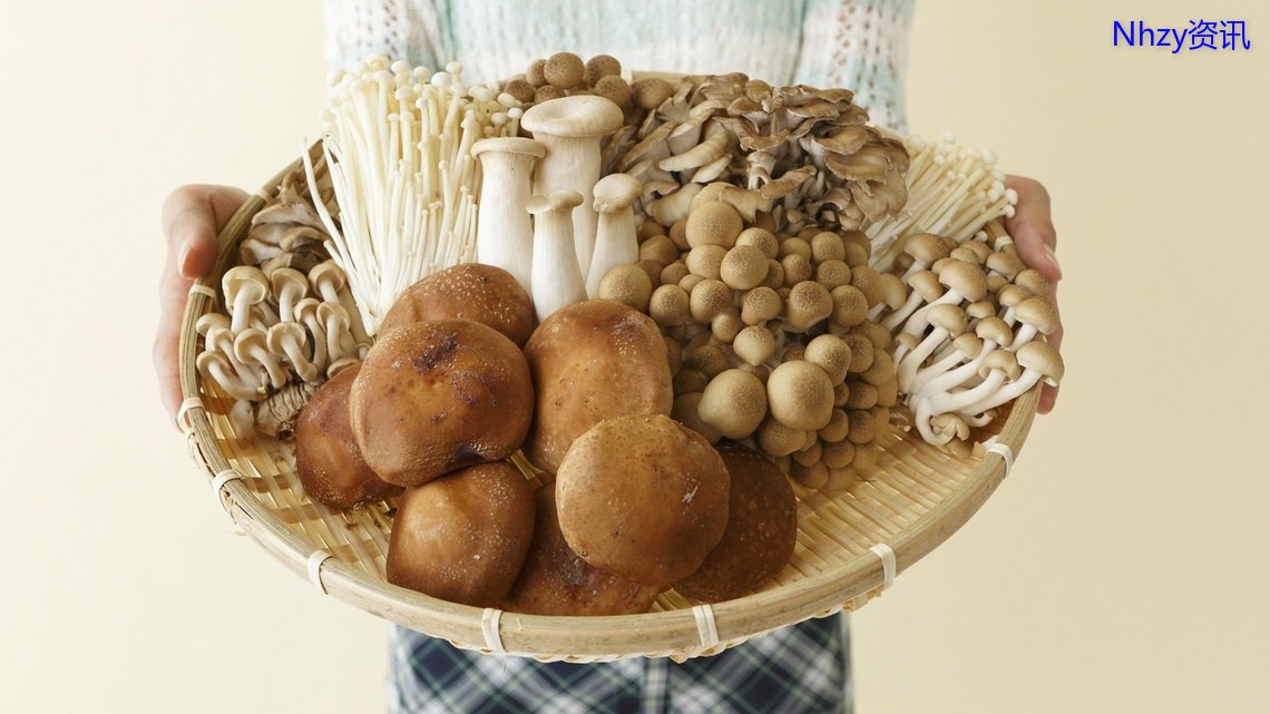 适合一岁以上的维生素,维生素可以恢复代谢吗