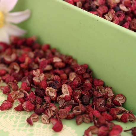 最全面的介绍陕西韩城花椒 (陕西特产韩城大红袍花椒)